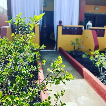 Apartmán Estrella Marina Costa De Antigua