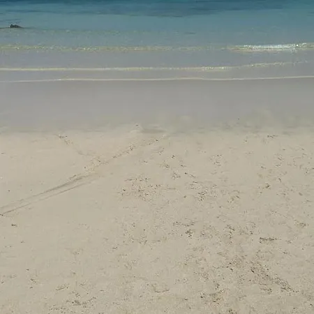 Estrella Marina Costa De Antigua