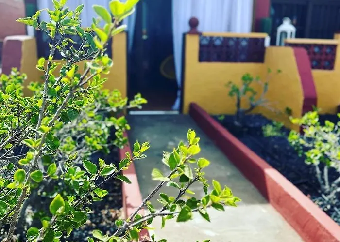 Apartment Estrella Marina Costa De Antigua