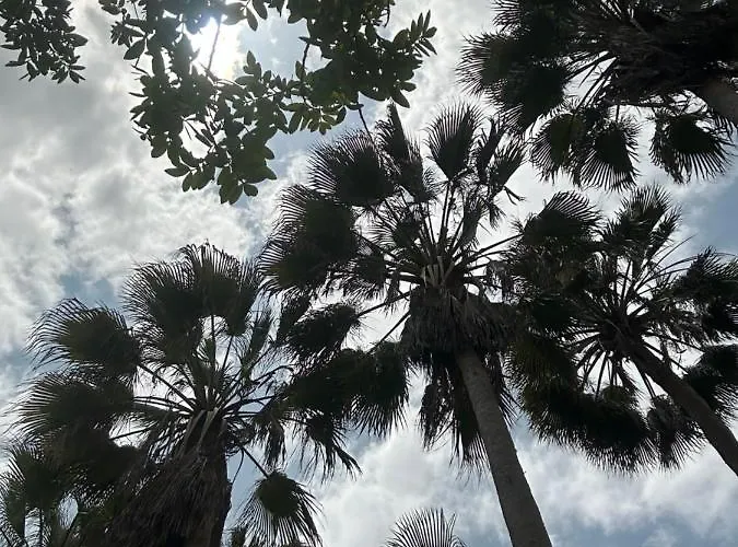 Apartment Estrella Marina