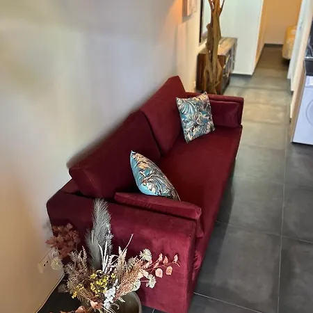 Estrella Marina * Costa De Antigua