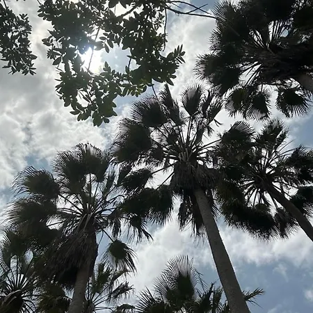 Daire Estrella Marina