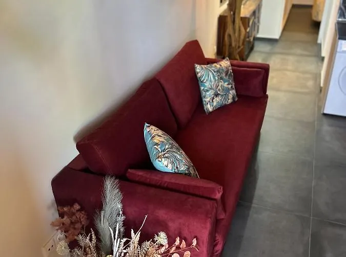 Estrella Marina * Costa de Antigua