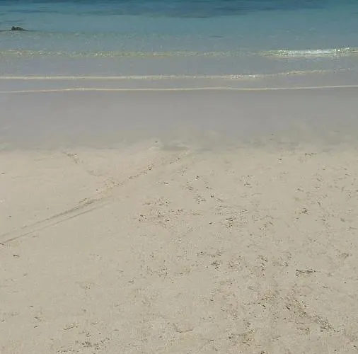 Estrella Marina Costa de Antigua